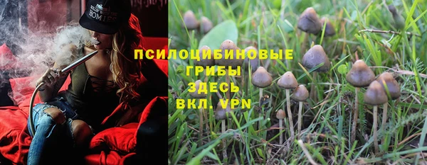 стаф Кинешма