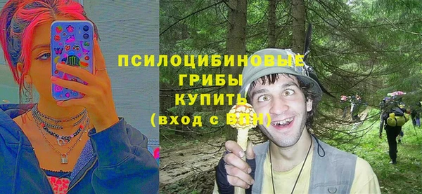 шишки Киреевск