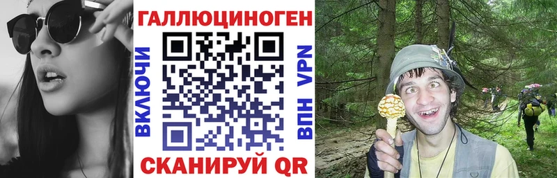 Галлюциногенные грибы Magic Shrooms  Купить где  Зуевка 