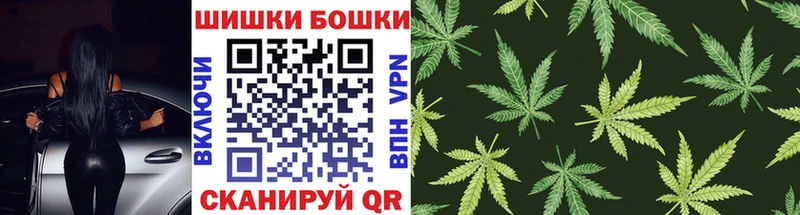 Каннабис сатива  Купить закладки  Зуевка 